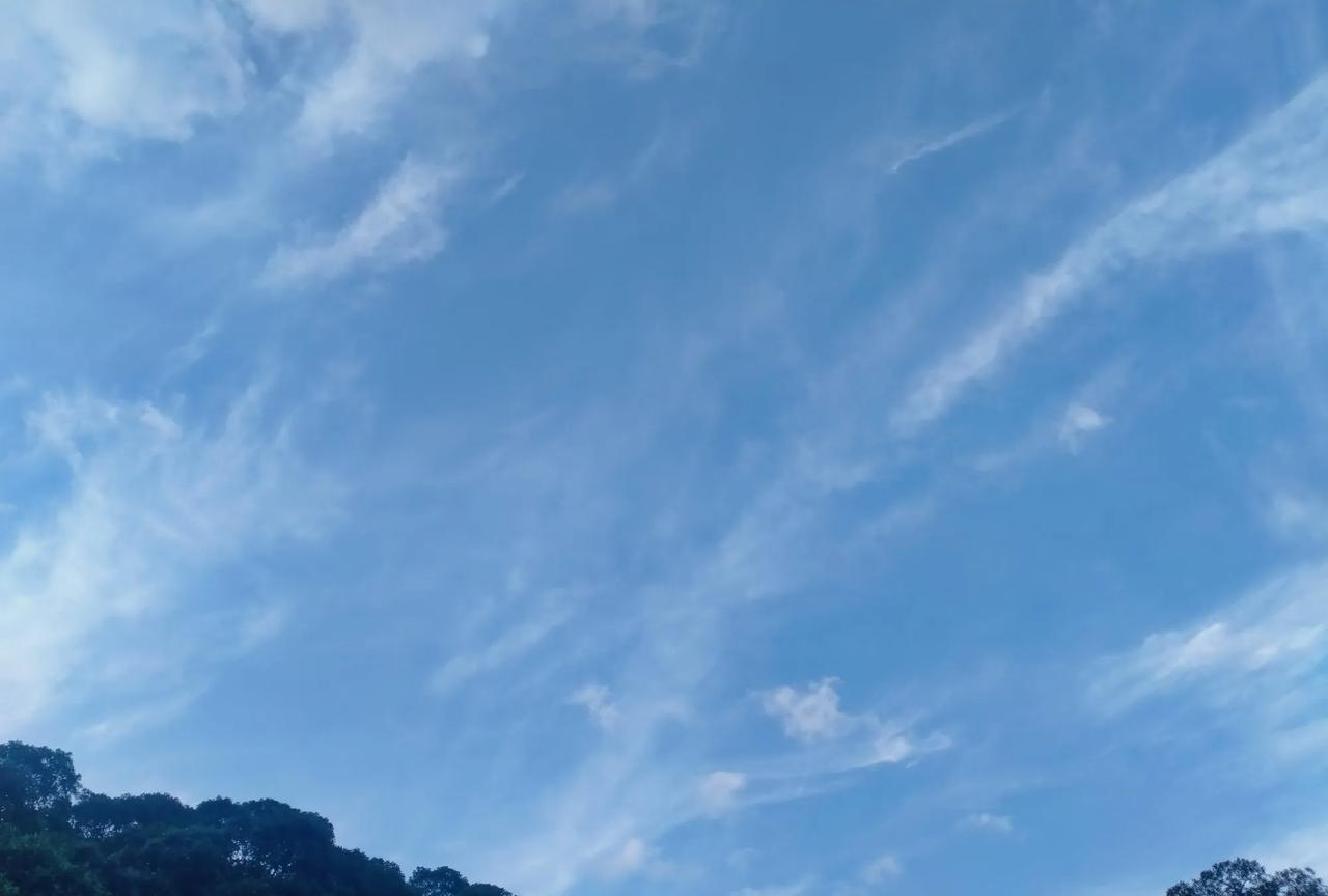 我独自去见山
山不见我，云想衣裳花想容
于风景之中看见自己
云深无归处，云薄见到