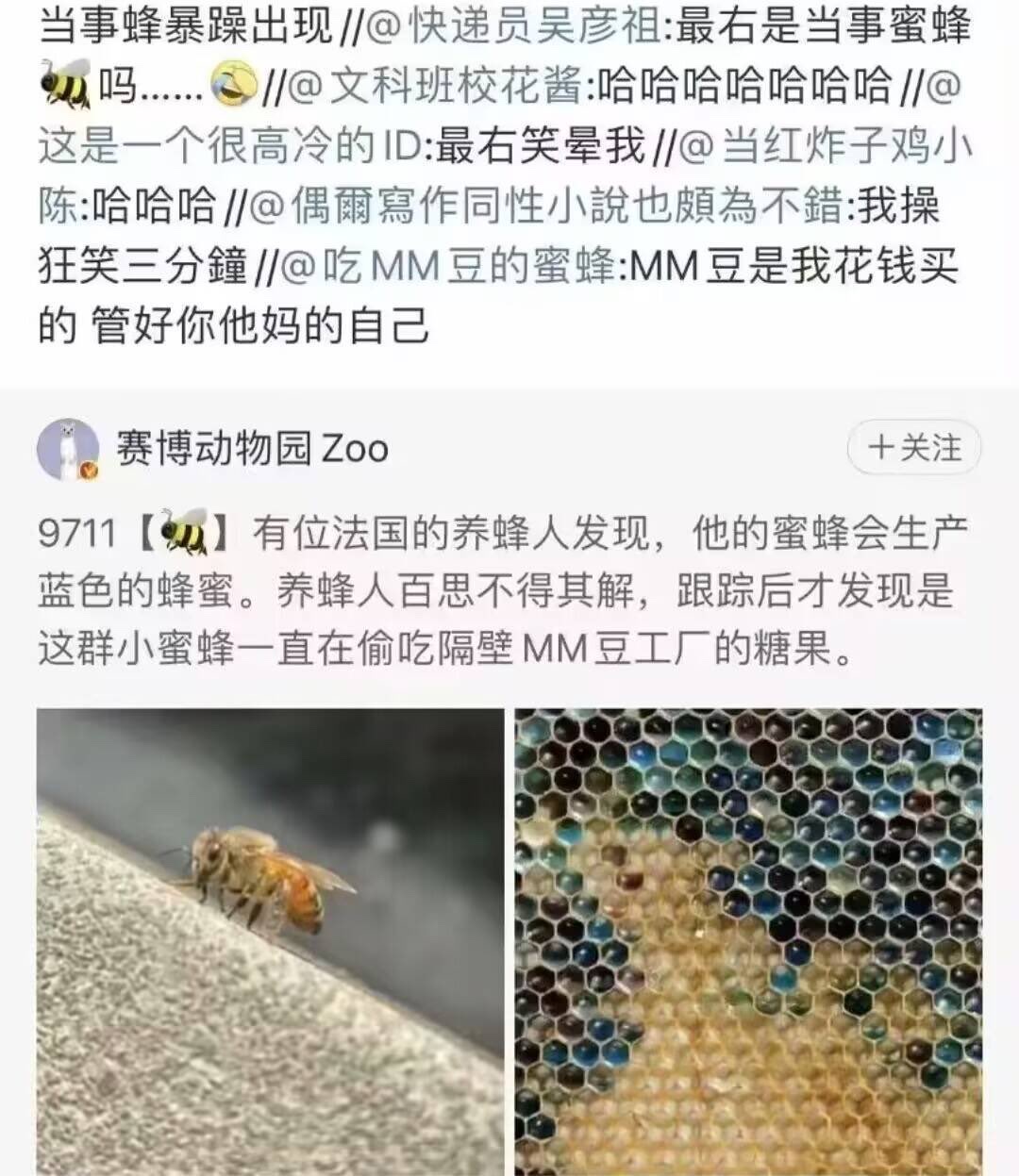 有点蚌埠住了