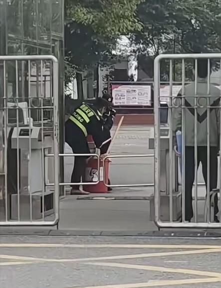 杀就是杀，别动不动就说是“虐杀”。
保安把侵入校园的流浪狗抓住、杀死，保障在校的