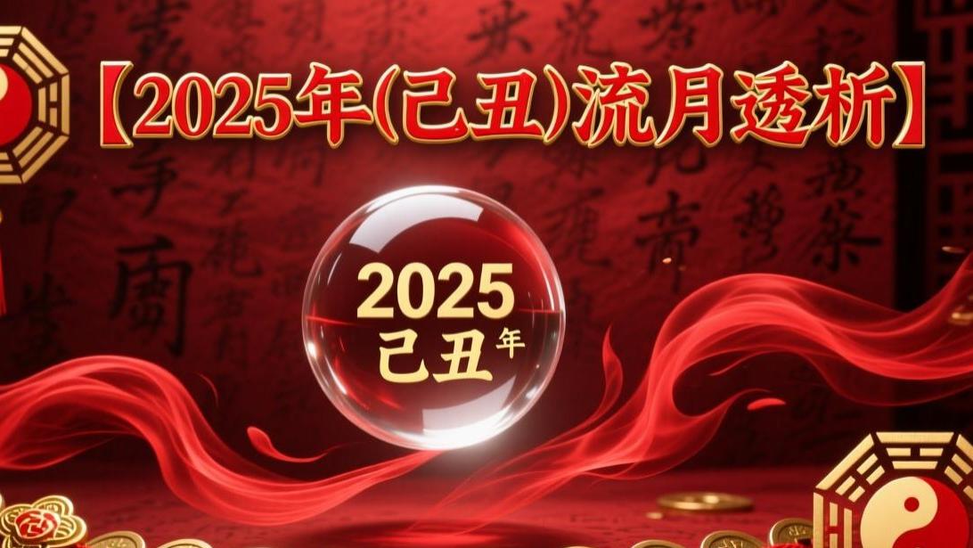 2025年【己丑】流月透析