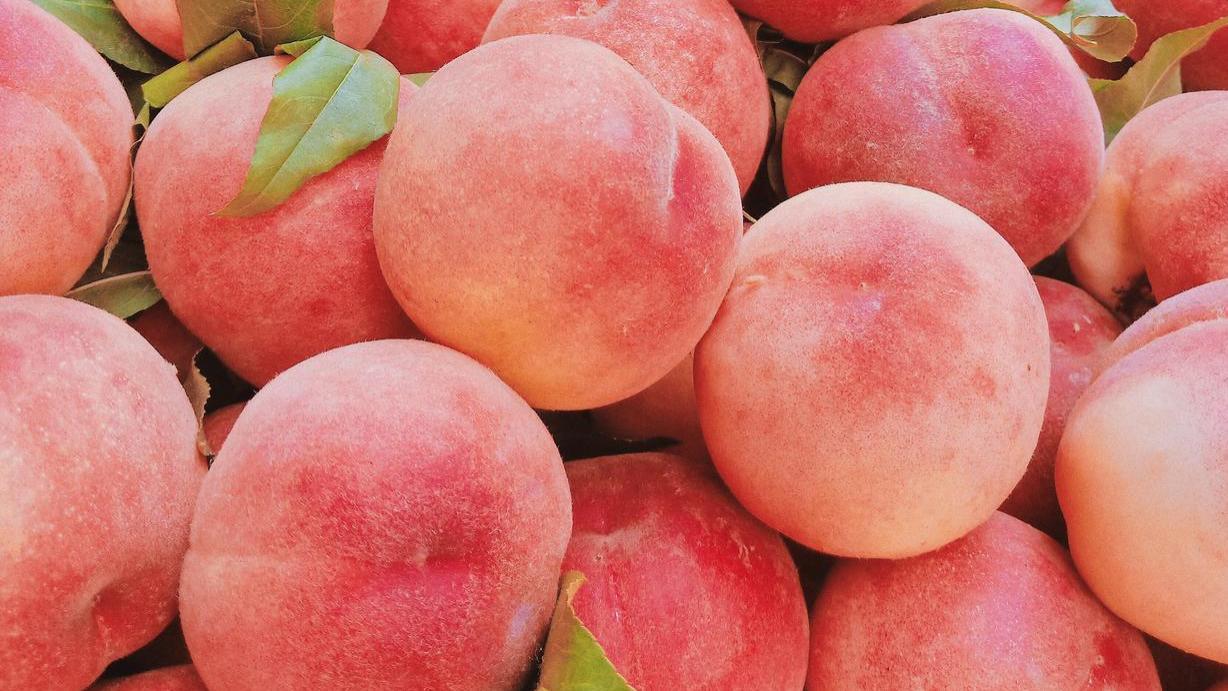 买桃子时，挑圆头还是尖头的！果农：二者区别很大，看完就会挑了