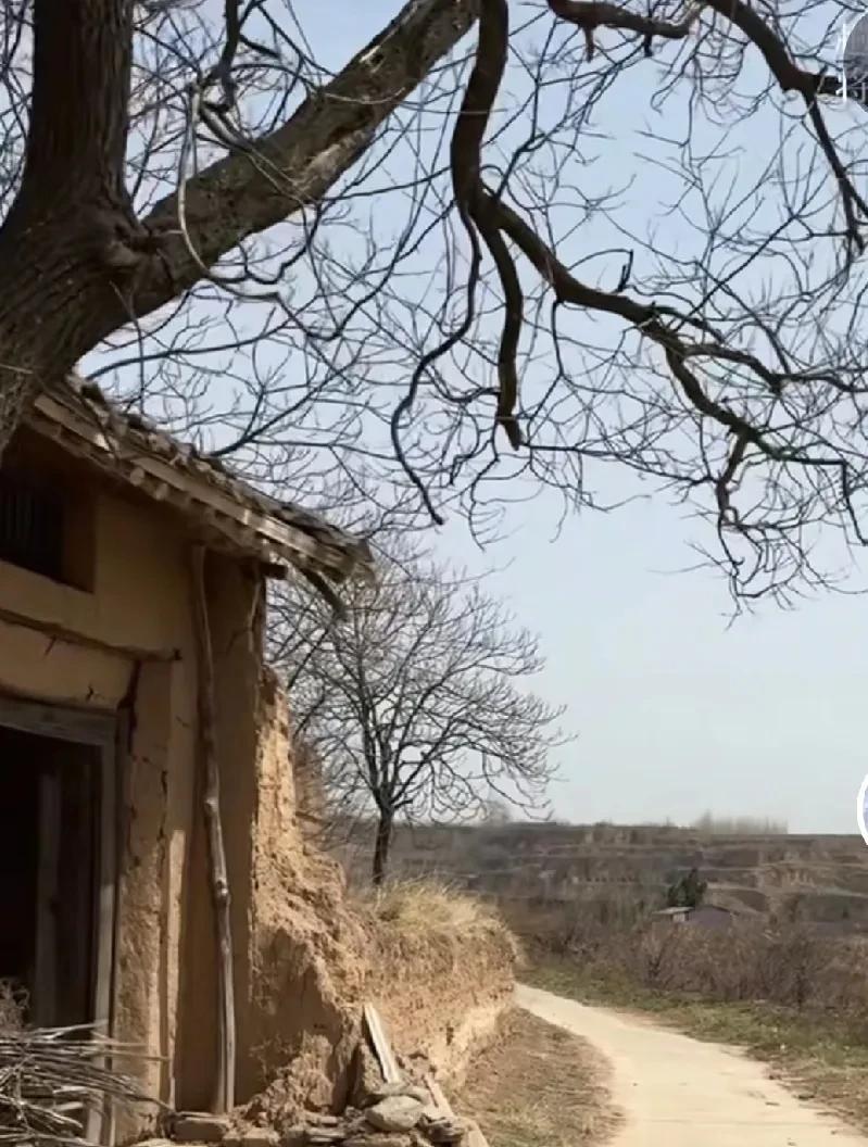 一大早看到一则好消息，某依靠热点事件，编造虚假信息，编造公共政策、凭着一张信口开