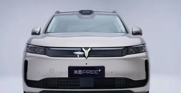 FREE+ 采用