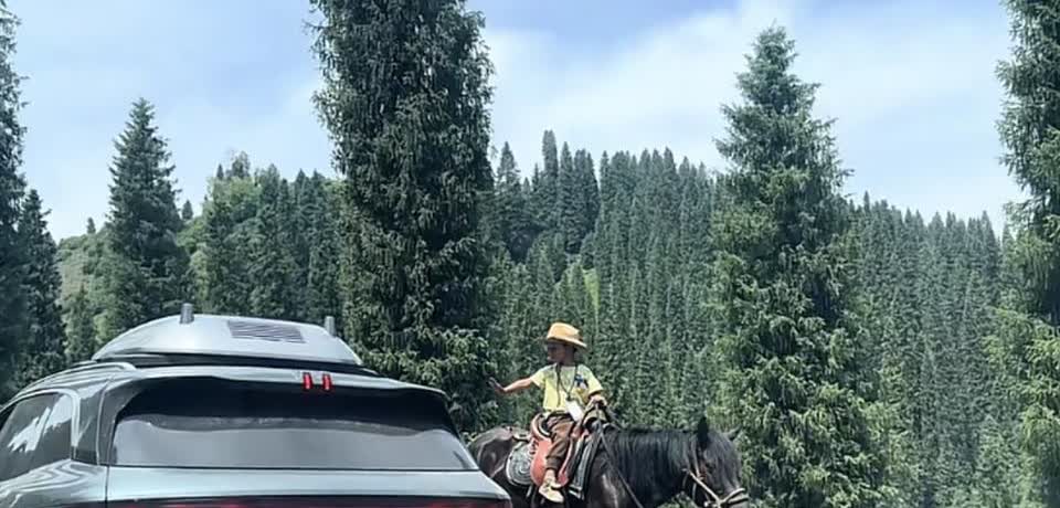 不愧是马背上上的民族，
小孩哥这么小的年纪就骑上马了，
说实话我这个成年人也