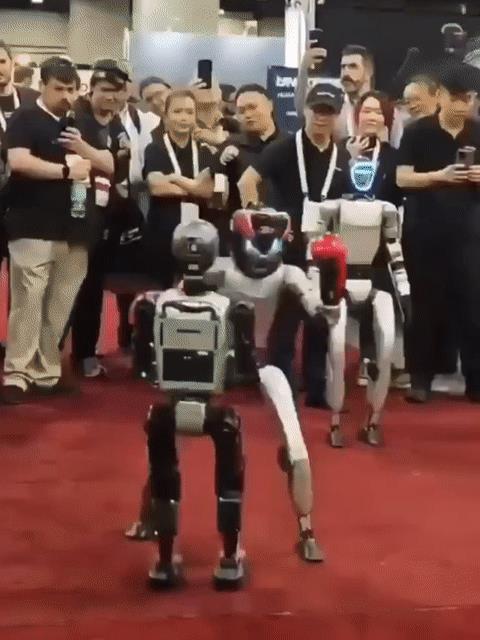 2025年美国亚特兰大自动化机器人展览会（IEEE ICRA）现场的机器人“斗殴
