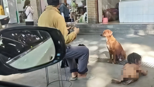 野人男孩后续：两年来时间线曝光近况很糟糕，父母恶行背后细思极恐