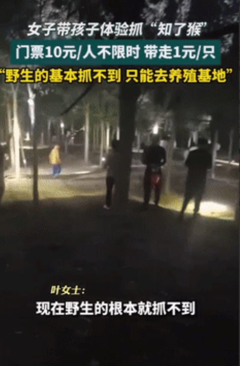 发财新赛道！江苏，一女子带孩子去野生基地抓知了，门票一人10块，抓到一只知了一块