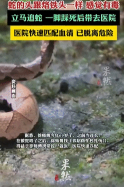 “胆子不是一般的大！”浙江一69岁大爷去田里摘菜时，突然感觉自己的手被扎了一下，