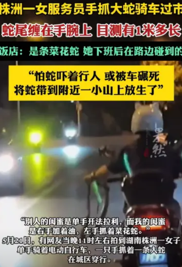 “太有种了！”湖南株洲，一女子单手骑着电动车，另一只手拎着一条大蛇头部，蛇尾缠在