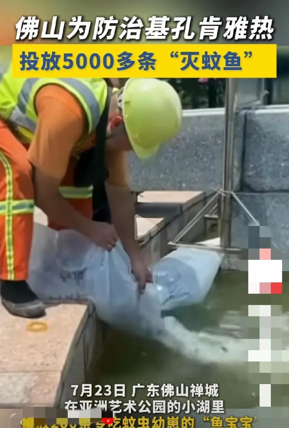 广东佛山顺德区的“基孔肯雅热”传染病毒可谓是扰乱得让人不得安宁，严重影响着人们正