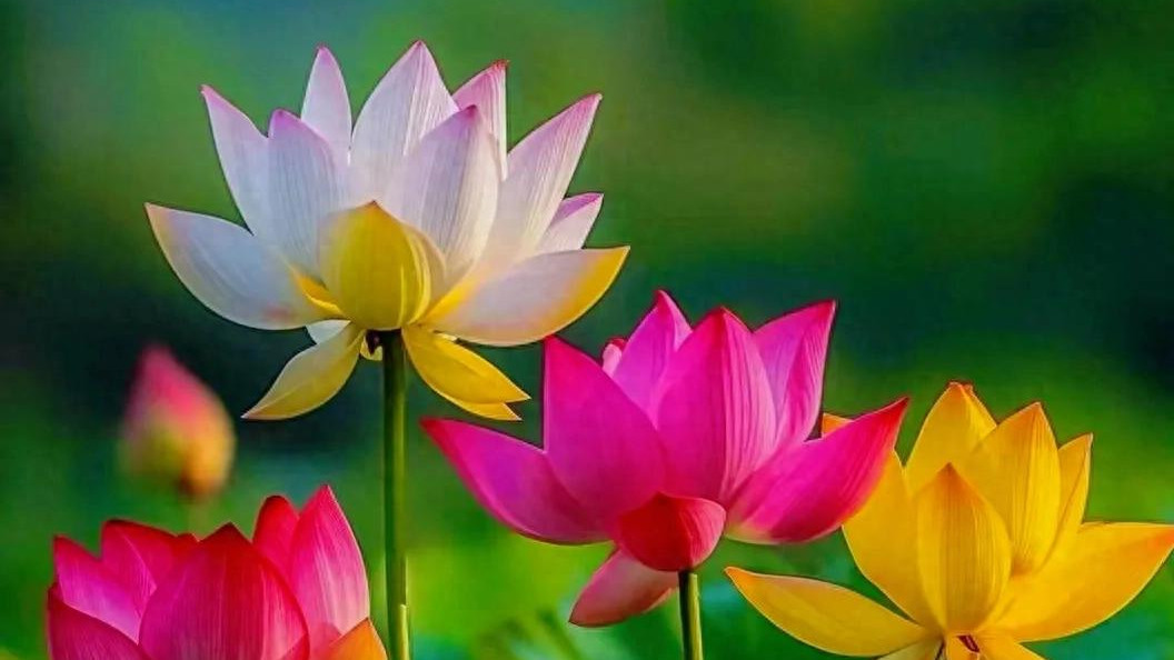 话留三分软，心藏一寸暖，活出真体面，过好每一天