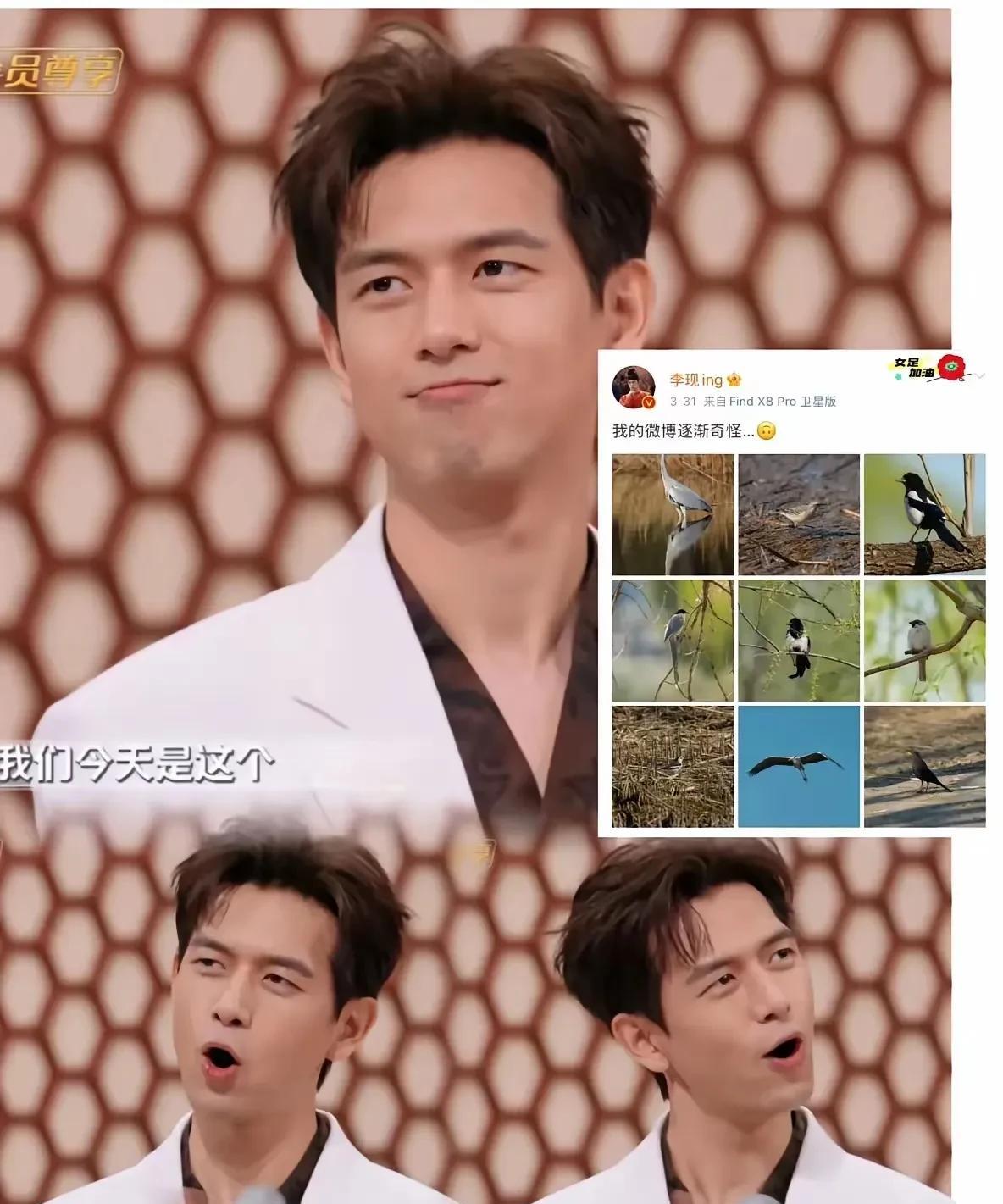 李现这是剧荒了吗？不拍戏，不直播，开始各个公园打鸟，忙的不亦乐乎，甚至有的文旅局