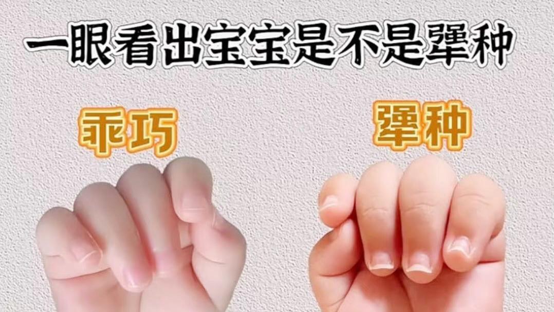 你家宝宝是“天选犟种”吗？早教妙招大揭秘！