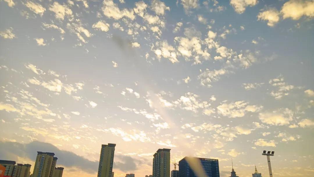 随笔：书上说，不管你经历了什么，一觉醒来，这个城市依旧车水马龙