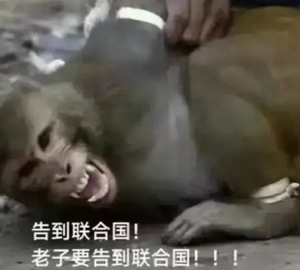 对于莫迪来说，向全世界宣布印巴冲突以印度大胜结束，全国欢庆十天的时候，才是他最难