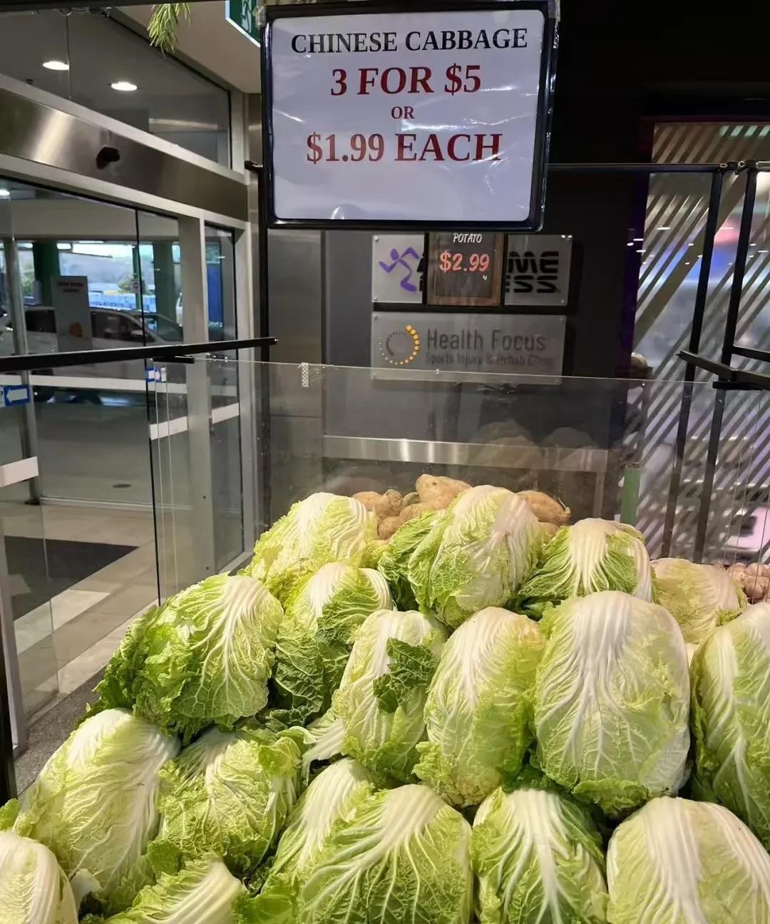 悉尼白菜只要1.666666667刀一个，比中国还便宜！
我们纽卡斯尔超市里看不