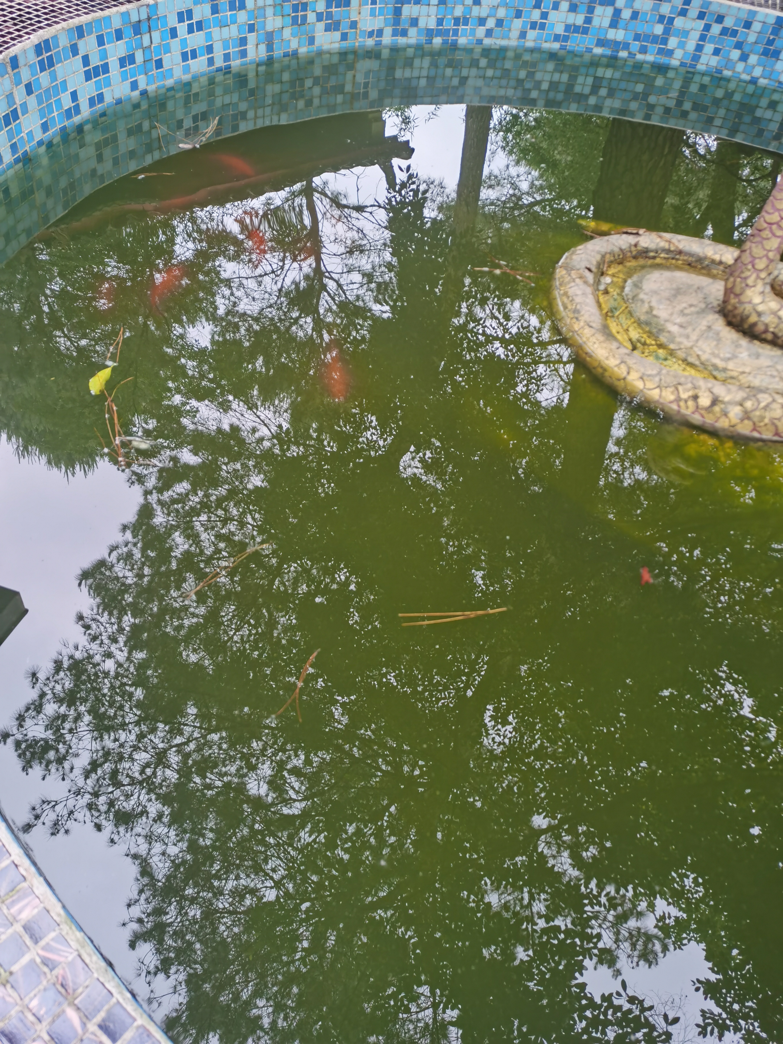 健康方面来看，辛巳月，辛金克乙木，容易有压力导致的脱发，也得注意肝胆问题，少熬夜