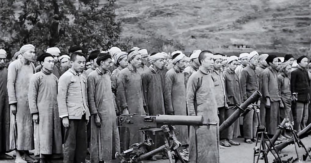 1950年7月底，由20多名武汉女大学生组成的南下工作队，在广西荔浦被土匪截杀，