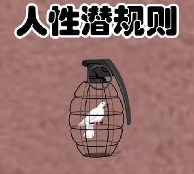 别再傻乎乎地光讲感情了，成年人的世界里，很多事都藏在桌面底下。很多人想不通，为什