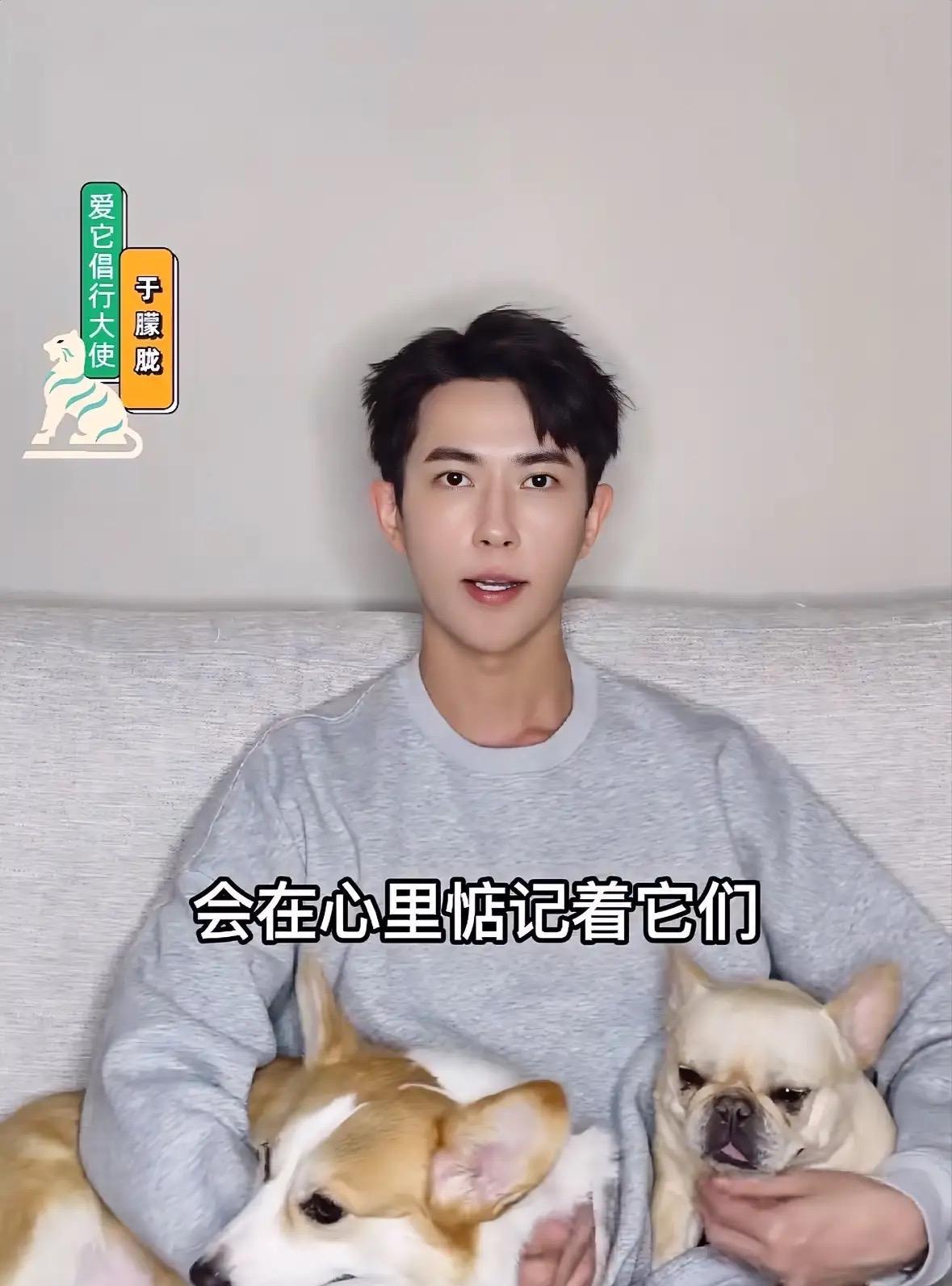 原来，于朦胧还养了两条狗，它们的名字叫福丽和火腿。
现在两只狗狗还在等着主人回家