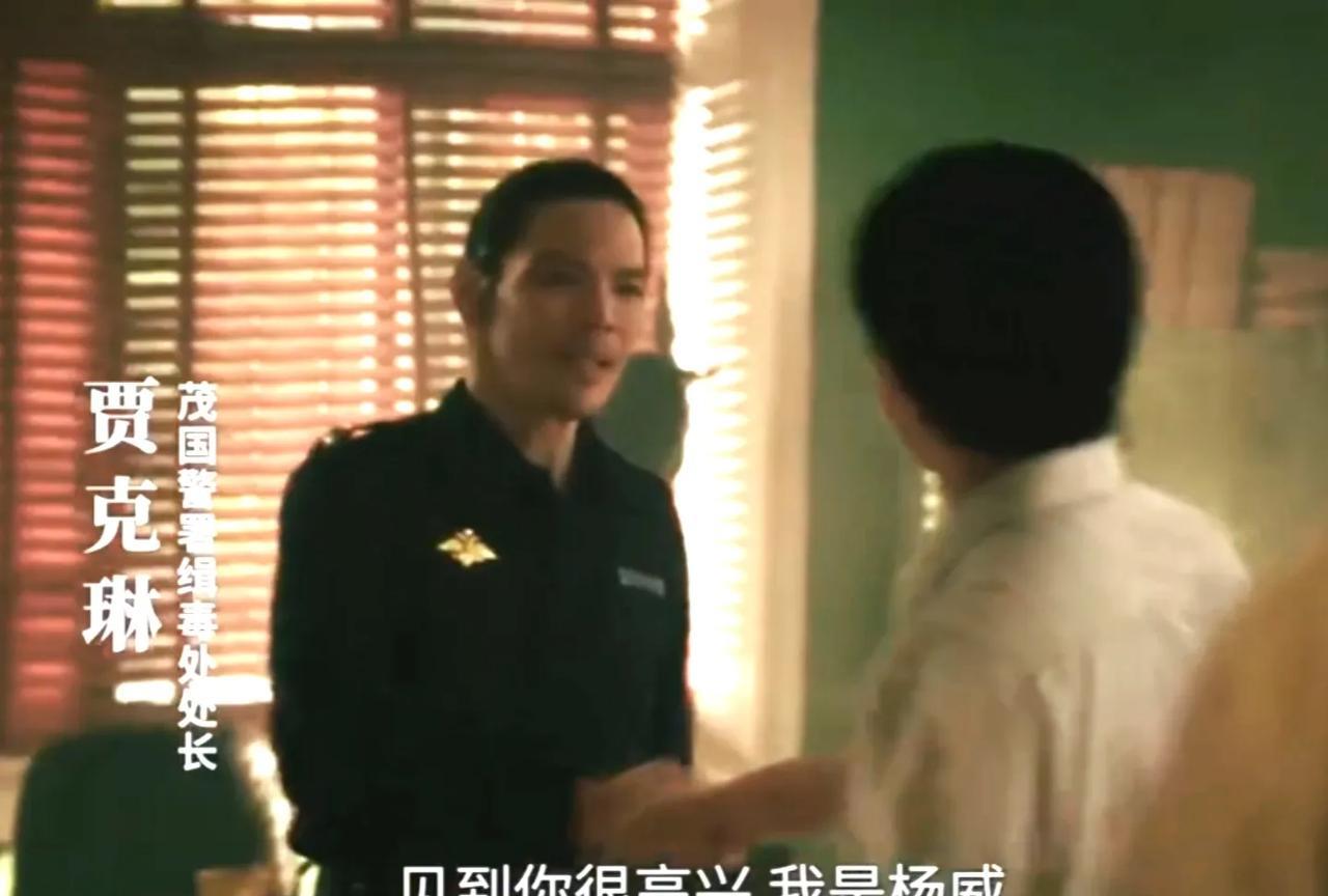 《扫毒风暴》:意外惊喜啊，茂国警署缉毒处处长贾克琳竟然是港星向佐饰演的!
这也是