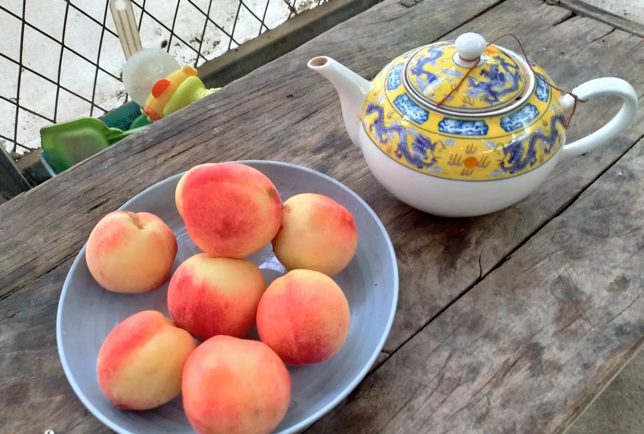这种桃子，是桃子中的极品。非常好吃，价格多在5-6元左右。
这种桃子，产量很低，
