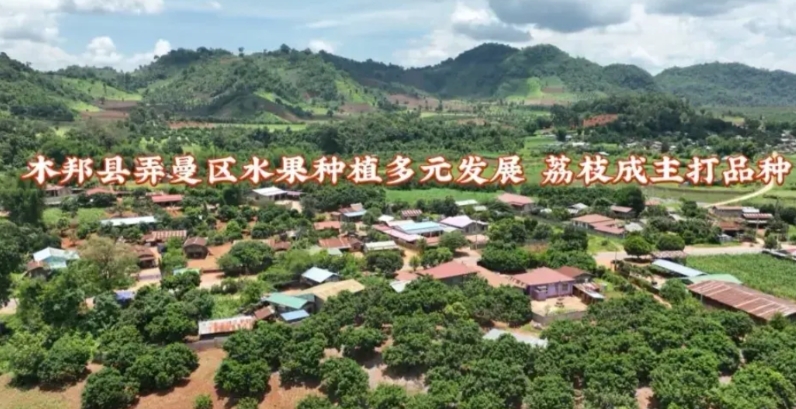 缅北果敢同盟军近期动态

长安荔枝的风还是吹到了缅北果敢地区！看吧，果敢同盟军在
