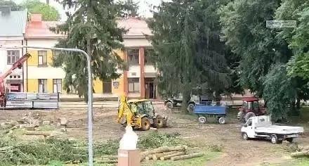 乌克兰人走火入魔，苏联时期种的树木也被砍掉！
    战争有罪树木无罪，欲加之罪