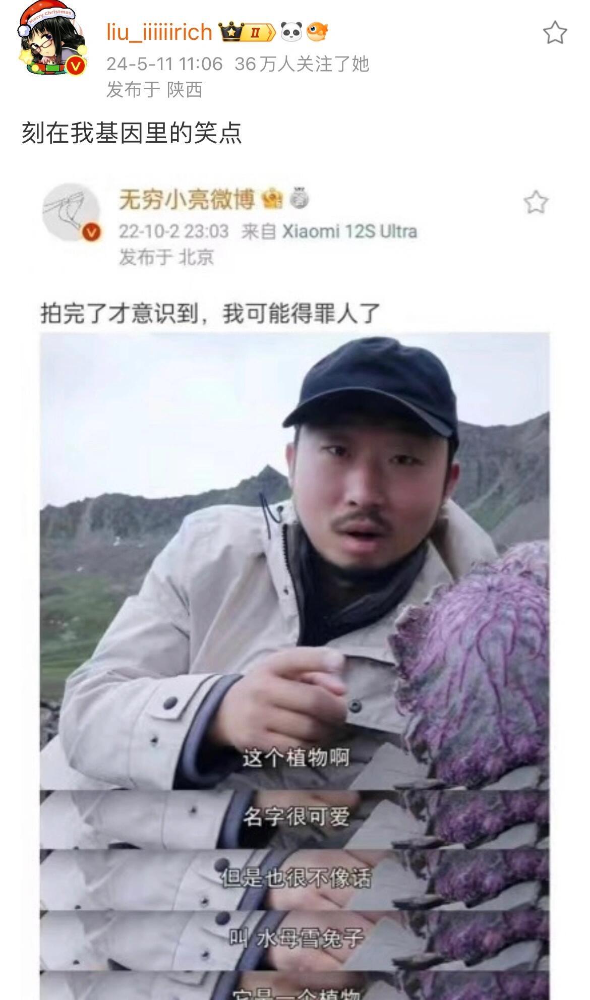 刻在我基因里的笑点