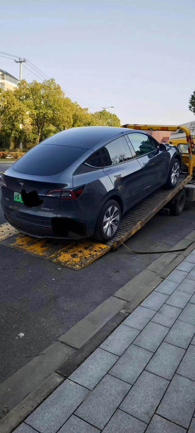 特斯拉还是有大厂风范
油车换特斯拉 上海市政府新能源补贴了一万，这次被抽到车要被