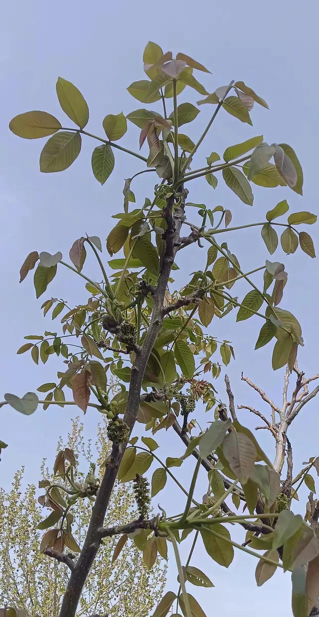 这是发生在我身边的真实事情，
闺蜜小翠当年不顾全家人的反对，坚决要嫁给比她大二十
