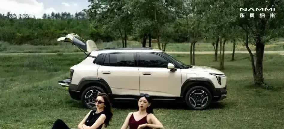 新能源车企六年后可能只剩7家：哪7家：

1、比亚迪：留下，国内第一，销量和