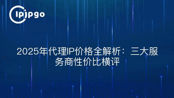 2025年代理IP价格全解析：三大服务商性价比横评