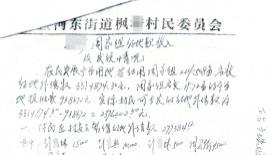 一纸审计揭沉疴：百万集体资金去向成谜