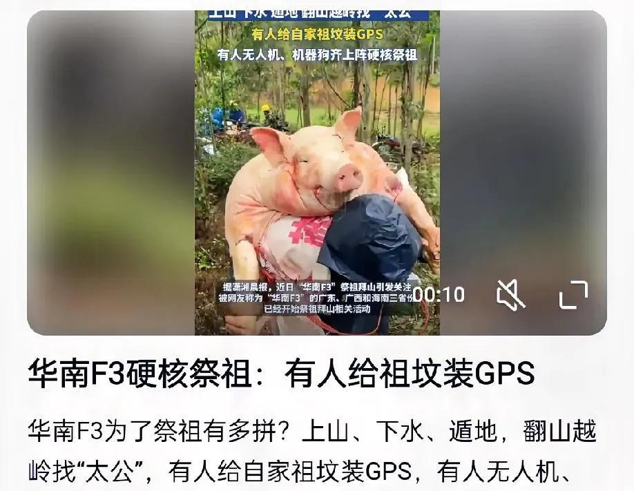 00后祭祖太野了！无人机炸山、机器狗开道，老祖宗看了都点赞？
清明时节，华南F3