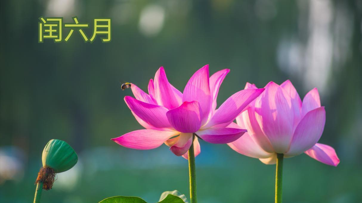 闰六月，牢记：4要做，3要避，3注意，福来祸事少，添福又增寿