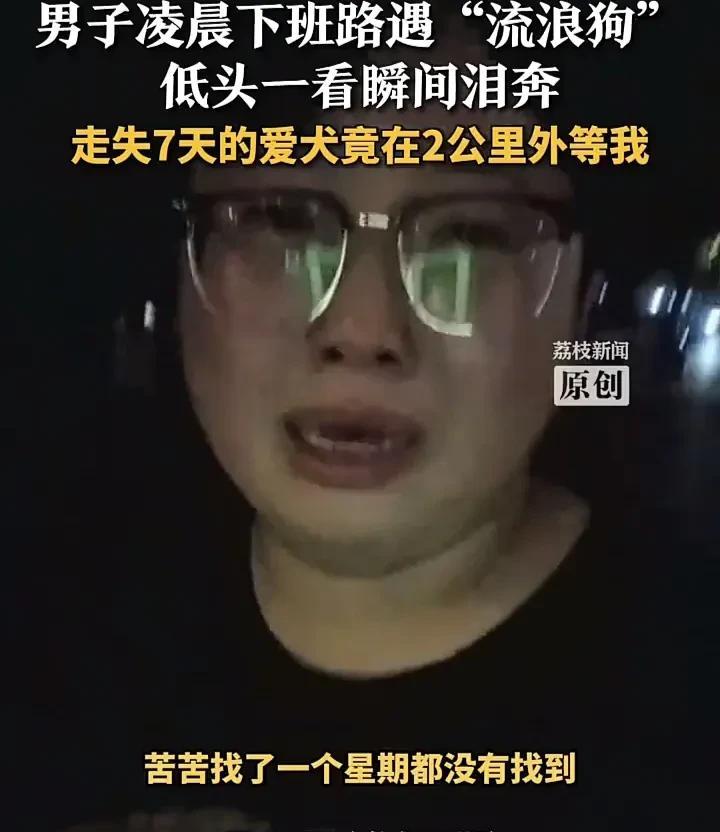 太感人了！近日，江苏宿迁一名男生养的小狗走失了，整整一周杳无音信，他和母亲到处寻
