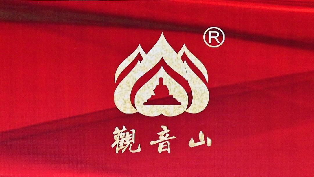 名家评论：第六届“观音山论剑”金博涵博士谈信赖保护原则