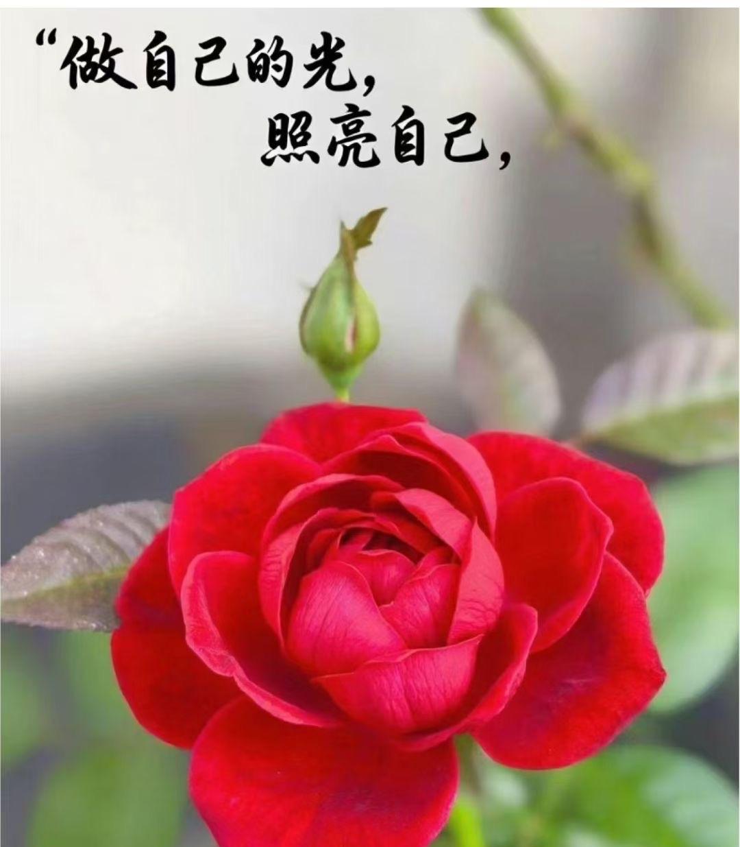 婚姻选对人真是太幸福了。
今天偶遇儿子发小的妈妈，已经当奶奶的人了，打扮得跟小姑
