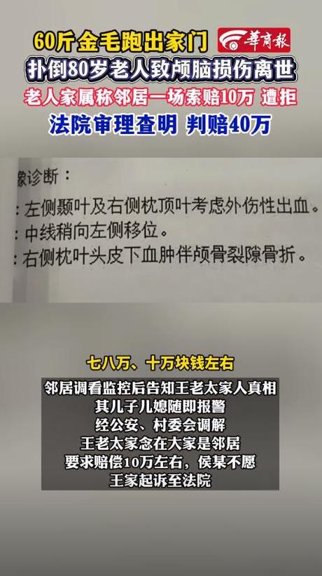 “肠子都悔青了！”江苏，一80岁老人被60多斤大狗扑倒死亡，家属索赔10万后却遭