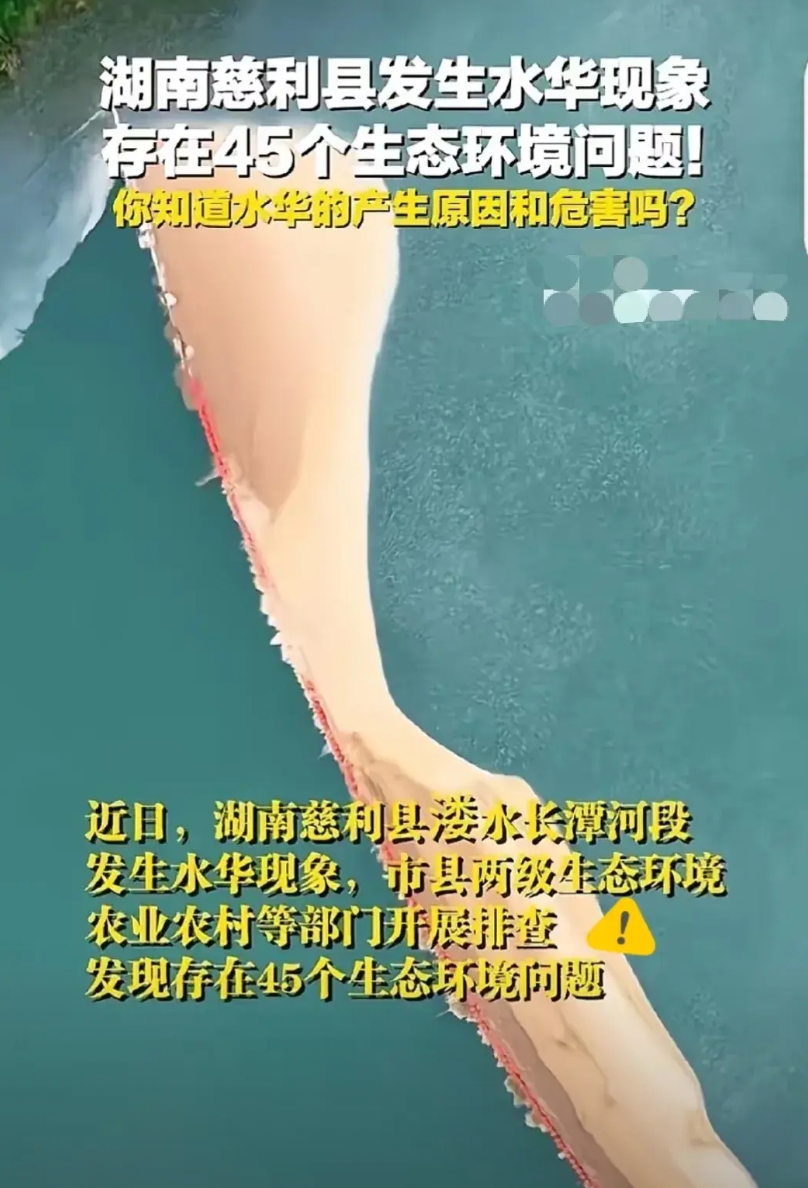 张家界慈利那地方山清水秀的，结果猪企一来，全乱套了
 
猪场污水本应净化后排放，