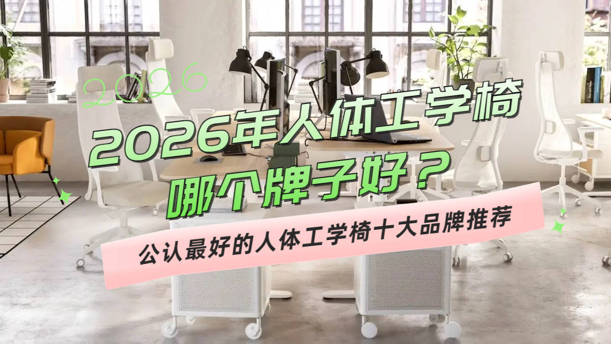 2026人体工学电脑椅哪个牌子好？公认最好的人体工学电脑椅十大推荐