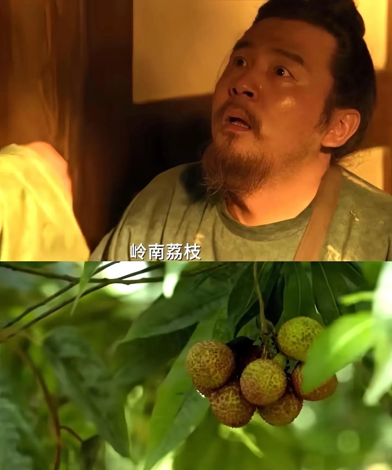 看了几集《长安的荔枝》
我家小孩问她爸：为什么不直接把荔枝树盆栽运回去，直接种在