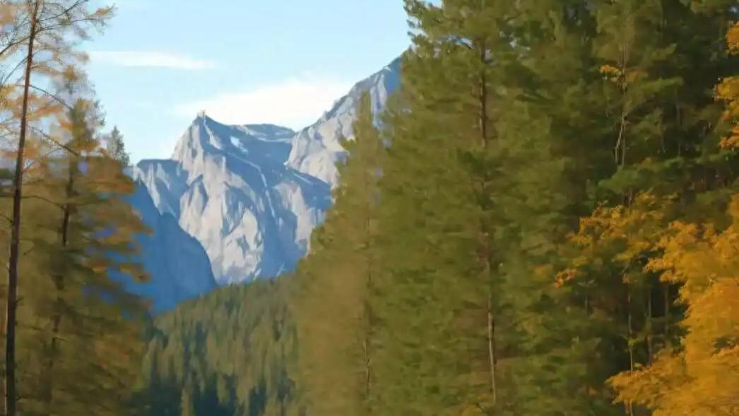 道不轻传，法不叩人：法源直观（来源：作家方晓莉）