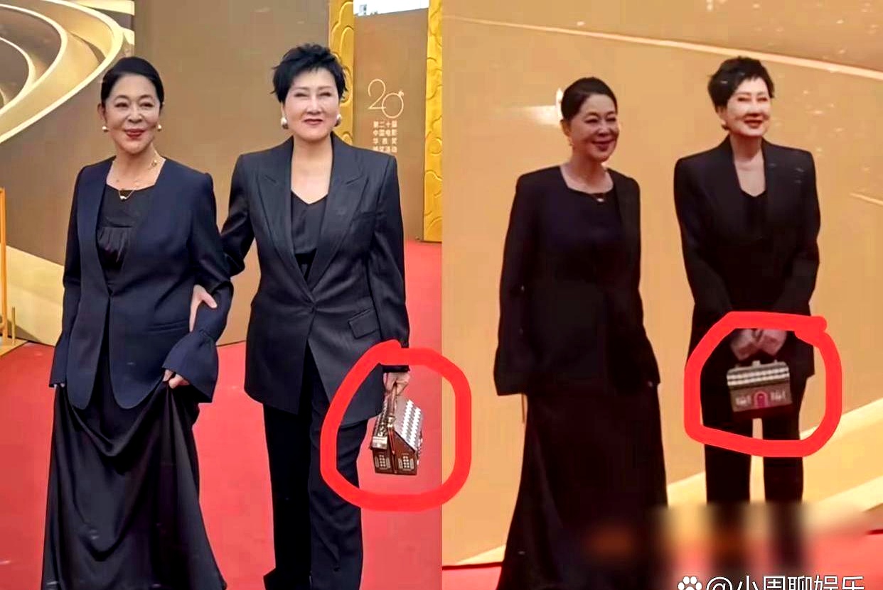 张凯丽在华表奖的造型，引发了热议。她拎的包，被网友调侃像纸扎的房子。

这不