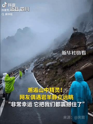 彻底解释不清了！连新华社都忍不住转发了。近日，四川，网友在莲宝叶则的山路中徒步，