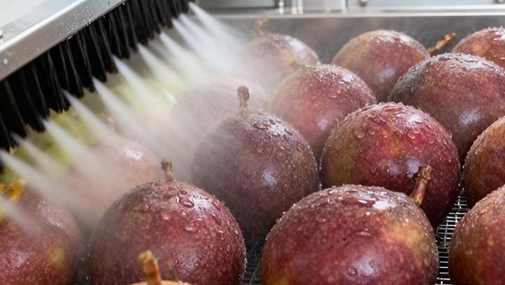 风刀吹干机对于水果表面水分去除的关键效能