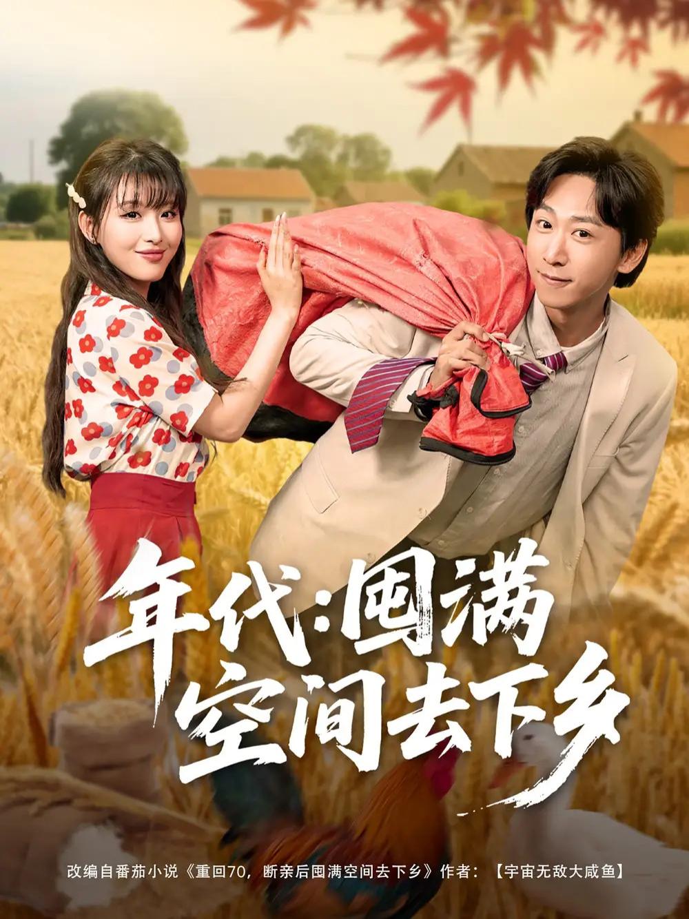 短剧《年代囤满空间去下乡》全网热播, 年代囤满空间去下乡穿越时空的乡愁