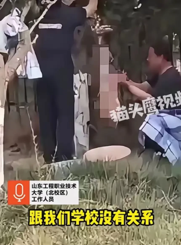 校园流浪狗惨死，校方推诿惹众怒