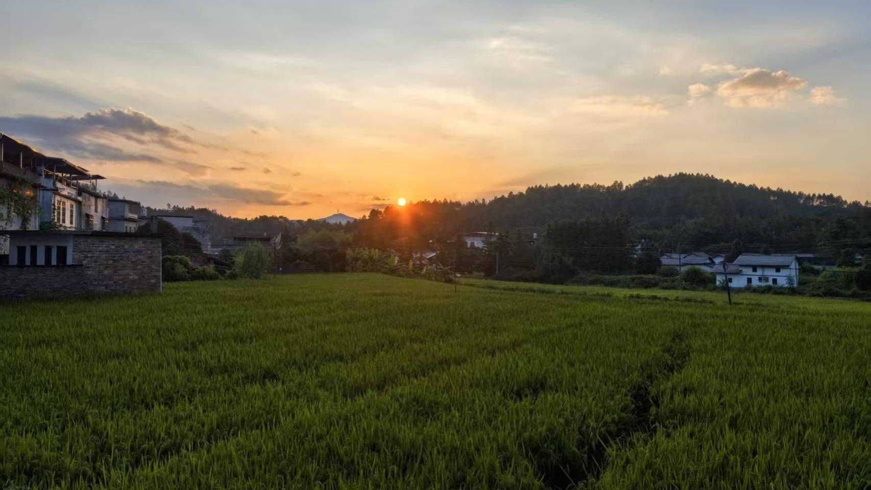 老爸老妈的农村生活